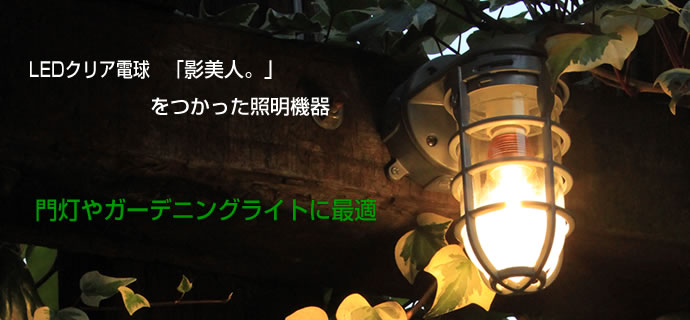 ǥ饤